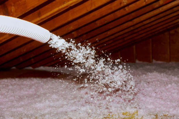 Best Eco-Friendly Insulation in Fountain Hills, AZ